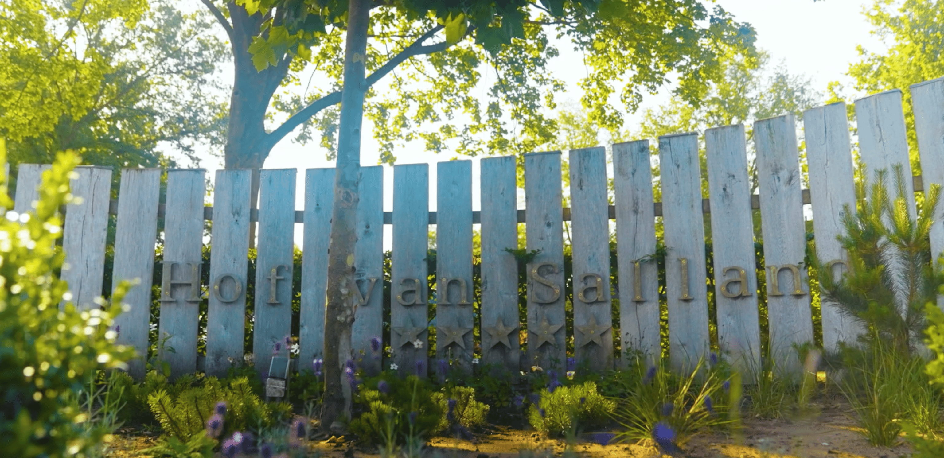 Scherm_afbeelding 2025-09-19 om 09.55.25 (1)