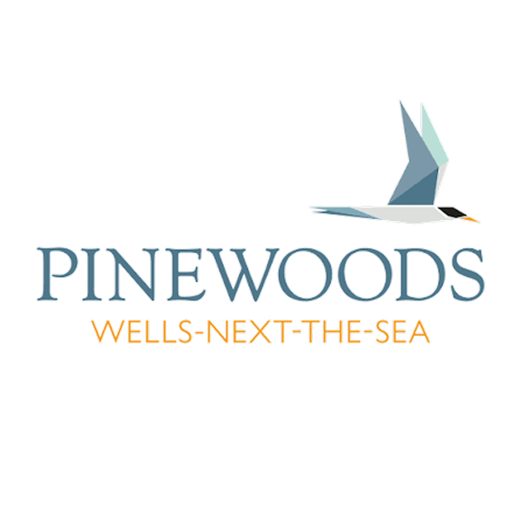 pinewoods